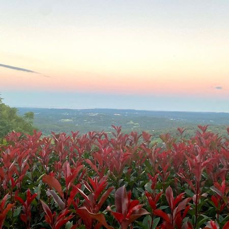 Flaxton Garden Home With Spectacular Coastal Views Montville Esterno foto