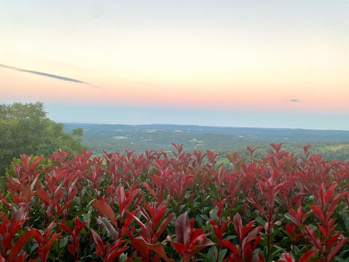 Flaxton Garden Home With Spectacular Coastal Views Montville Esterno foto